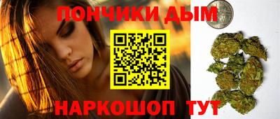 гидропоника Можга