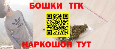 гидропоника Можга