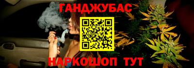 гидропоника Можга