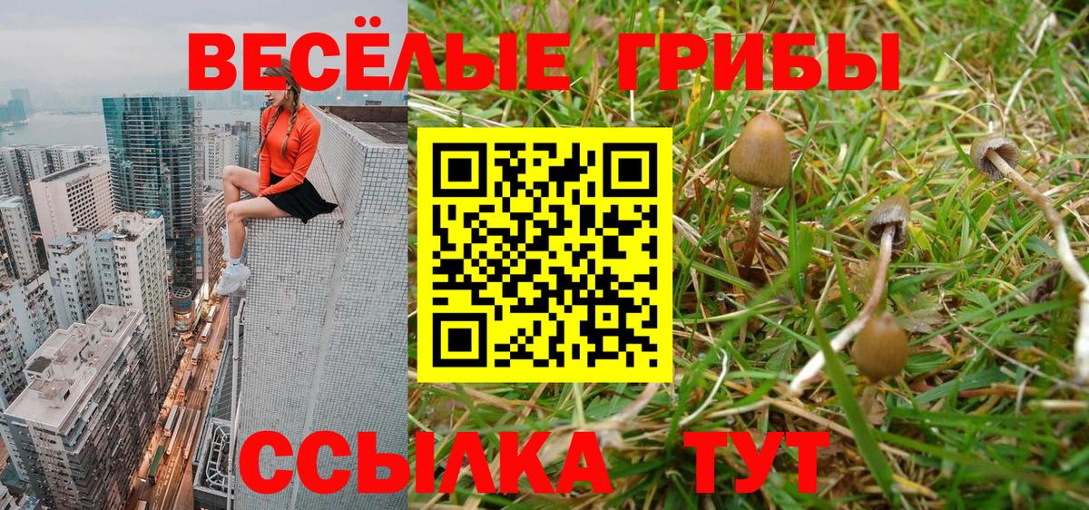 Галлюциногенные грибы Psilocybine cubensis  купить закладку  Тихвин  Вход с VPN 